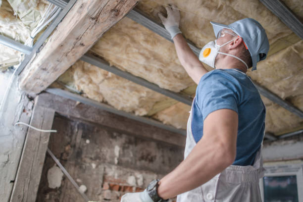 Best Insulation Contractors for Homes  in Iota, LA